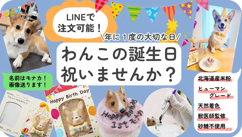 誕生日の犬用お菓子のPR画像_PC用