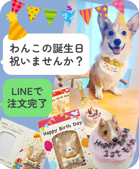 誕生日の犬用お菓子のPR画像_SP用